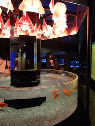 すみだ水族館に投稿された画像（2026/6/27）