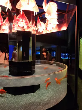 すみだ水族館に投稿された画像（2026/6/27）