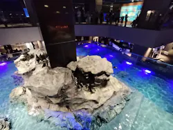 すみだ水族館に投稿された画像（2026/6/27）