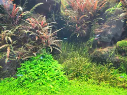 すみだ水族館に投稿された画像（2026/6/27）