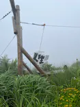 自然体感展望台 六甲枝垂れに投稿された画像（2026/6/28）