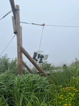 自然体感展望台 六甲枝垂れに投稿された画像（2026/6/27）