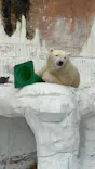 天王寺動物園に投稿された画像（2026/6/28）