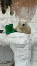 天王寺動物園に投稿された画像（2026/6/27）