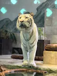 NIFREL（ニフレル）に投稿された画像（2026/6/28）