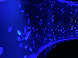 サンシャイン水族館に投稿された画像（2026/6/28）