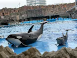 名古屋港水族館に投稿された画像（2026/6/28）
