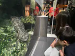 京都水族館に投稿された画像（2026/6/28）