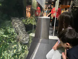 京都水族館に投稿された画像（2026/6/28）