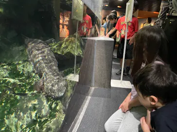 京都水族館に投稿された画像（2026/6/28）