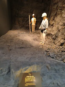 福井県立恐竜博物館に投稿された画像（2026/6/28）