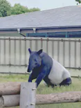 東武動物公園に投稿された画像（2026/6/28）