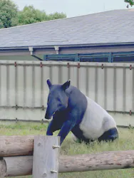 東武動物公園に投稿された画像（2026/6/28）