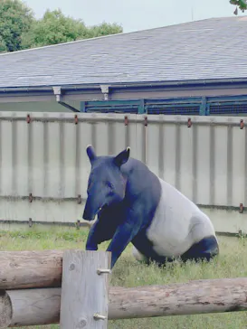東武動物公園に投稿された画像（2026/6/28）