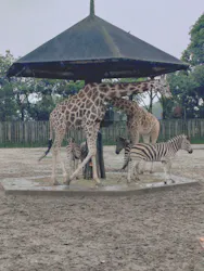 東武動物公園に投稿された画像（2026/6/28）