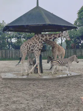 東武動物公園に投稿された画像（2026/6/28）