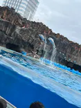 名古屋港水族館に投稿された画像（2026/6/28）