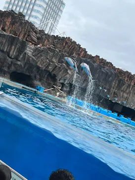 名古屋港水族館に投稿された画像（2026/6/28）
