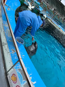 名古屋港水族館に投稿された画像（2026/6/28）