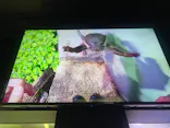 マクセル アクアパーク品川に投稿された画像（2026/6/28）