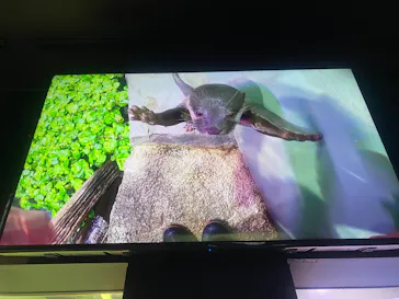 マクセル アクアパーク品川に投稿された画像（2026/6/28）