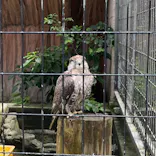 天王寺動物園に投稿された画像（2026/6/28）
