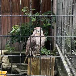 天王寺動物園に投稿された画像（2026/6/28）