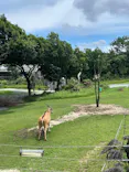 天王寺動物園に投稿された画像（2026/6/28）
