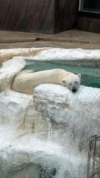 恩賜上野動物園に投稿された画像（2026/6/28）