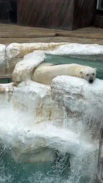 恩賜上野動物園に投稿された画像（2026/6/28）