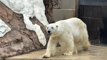 恩賜上野動物園に投稿された画像（2026/6/28）