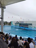 南知多ビーチランド＆南知多おもちゃ王国に投稿された画像（2026/6/28）