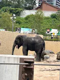 天王寺動物園に投稿された画像（2026/6/28）