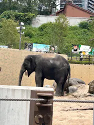 天王寺動物園に投稿された画像（2026/6/28）