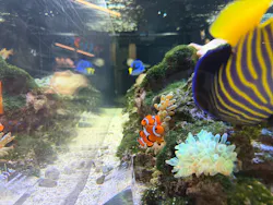 京都水族館に投稿された画像（2026/6/28）