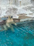 天王寺動物園に投稿された画像（2026/6/28）