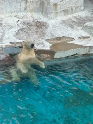 天王寺動物園に投稿された画像（2026/6/28）