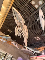 国立科学博物館に投稿された画像（2026/6/28）