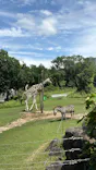 天王寺動物園に投稿された画像（2026/6/28）