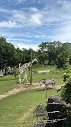 天王寺動物園に投稿された画像（2026/6/28）