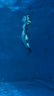 仙台うみの杜水族館に投稿された画像（2026/6/28）