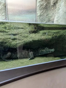 仙台うみの杜水族館に投稿された画像（2026/6/28）
