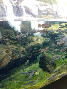 栃木県なかがわ水遊園に投稿された画像（2026/6/28）