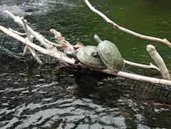 栃木県なかがわ水遊園に投稿された画像（2026/6/28）