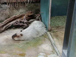 栃木県なかがわ水遊園に投稿された画像（2026/6/28）
