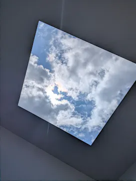 金沢21世紀美術館に投稿された画像（2026/6/28）