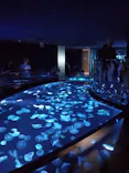 すみだ水族館に投稿された画像（2026/6/28）