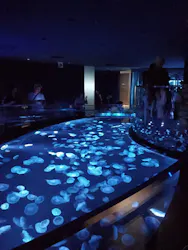 すみだ水族館に投稿された画像（2026/6/28）