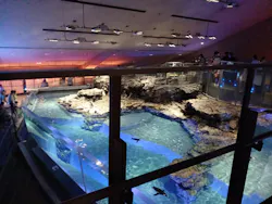 すみだ水族館に投稿された画像（2026/6/28）
