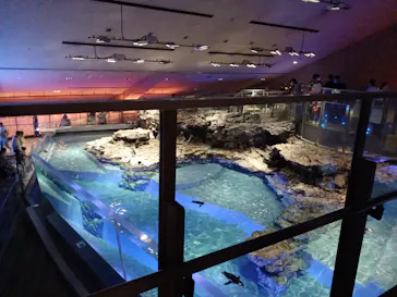 すみだ水族館に投稿された画像（2026/6/28）